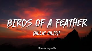 Download lagu Billie Eilish - BIRDS OF A FEATHER (Lyrics) mp3