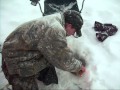 Video Thumbnail for Northern pike Ice fishing