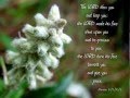 "I Bless You" (Dennis Jernigan and Watermark)