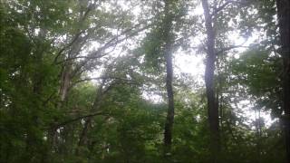 Broken Social Scene - Mouth Guards of the Apocalypse