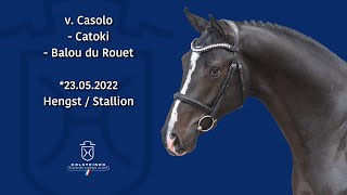 Video von Hengst von Casolo / Catoki
