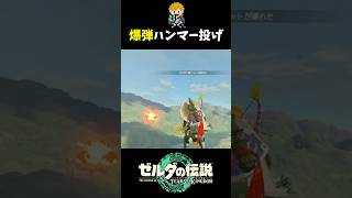 対岸のイエロックに鉄の塊をぶん投げて狙撃する英傑 #shorts  #ゼルダの伝説ティアーズオブザキングダム #ティアキン