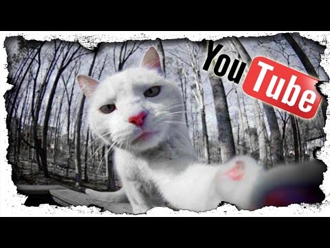 Die WAHRHEIT über Youtube - Wie Youtube funktioniert