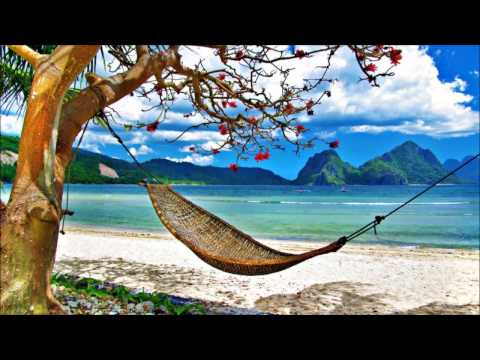 Beenie Man (ft. Janet Jackson) | Feel It Boy | A=432hz