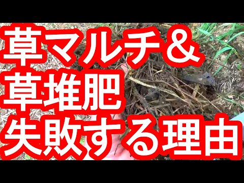 庭に堆肥をいつ、どのように追加するのですか?知っておくべきことはすべて！  庭園