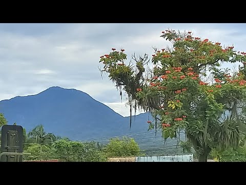 Primeiro passeio em um bairro de Paranaguá Alexandra Paraná.
