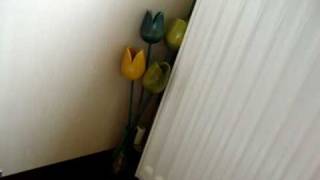 Goes Without Saying - Scary Kids Scaring Kids