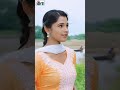 Le Suru Hoge Maya Ke Kahani Cg Song Shorts Viral Cgsong