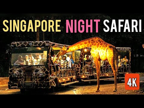 Singapore Night Safari | Creatures of the Night Show | 2022