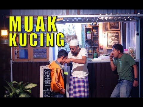 muak-kucing