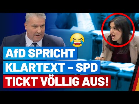 Kritik an Antifa und Islamisten war zu viel - SPD-Frau tickt völlig aus! Martin Hess - AfD-Fraktion