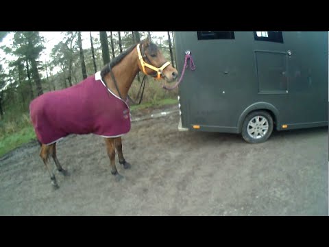 Puddle Monsters to Mud Monsters, poor old Farouk 😢🐴