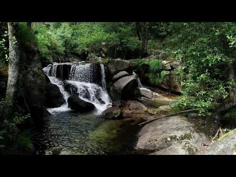 Die Hoffnung auf die Wiederkunft | Tägliche Andacht | 4. Jänner