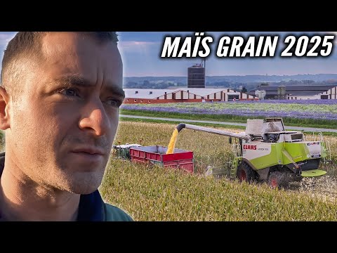 WE'RE TAKING ON GRAIN CORN 2025!