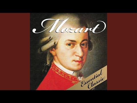 Eine kleine nachtmusik : 1st movement