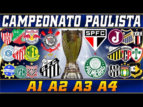 São Paulo State Championship - Check out all the participants.