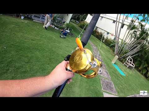 Went Swordfishing and caught a potential world record  Pomfret in Jamaican waters (Catch Clean Cook)