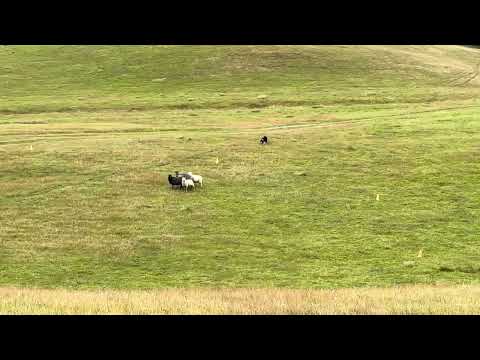 Linje Ebba Sam Häckeberga 13/7 2025 43/72