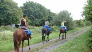 preview picture of video 'Tourisme équestre en Pays de Brocéliande'