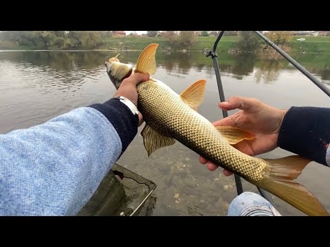 KRUPNE MRENE IZ BRZAKA!