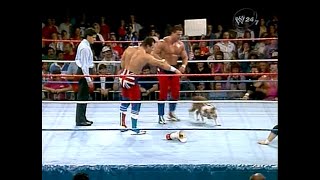 The British Bulldogs vs Hart Foundation (11061987)