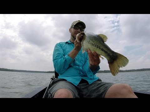 GoPro: Michael Ring - Best Catch 04.20.15 - Fish