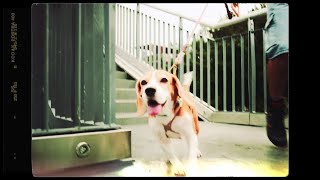 [求助] 有什麼建議的方式溝憂鬱症女友溝通呢