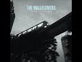 The Wallflowers - Sleepwalker
