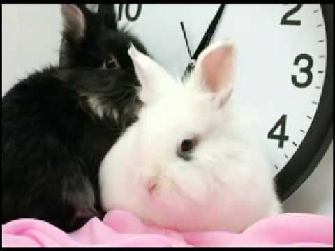 Aelyn - Для тебя