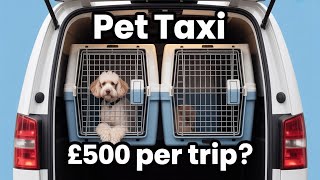 Pet Taxi Business: Real Costs & First Paid Jobs (UK) - low-cost business idea