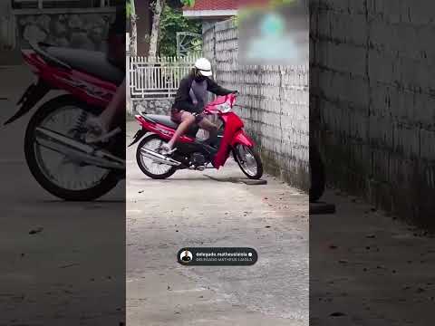 HOMEM TENTOU ATROPELAR UMA COBRA #noticias #cobra