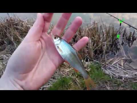 Wędka Mistrall Zino Feeder 3,9m 120g film wideo