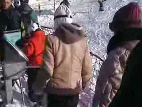 Toplita partia Bradul 1