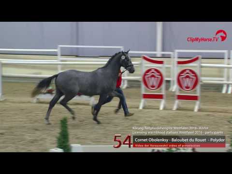 54 Cornet Obolensky - Baloubet du Rouet - Polydor