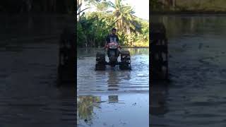 Download lagu Bajak sawah mengunakan traktor G1000 mp3 Download lagu Bajak sawah mengunakan traktor G1000 mp3