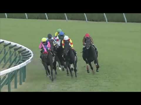 2021.11.14 Kigiku Sho (JPN) - Justin Palace