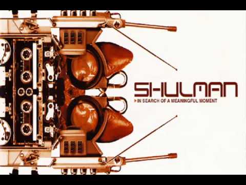 Shulman - Consciousness Revoked