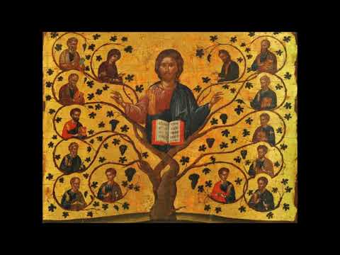 A Vinha do Senhor - Católica