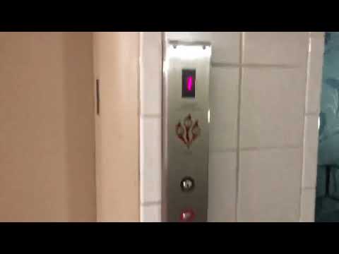 Pittsburgh/Headrick hydraulic elevator - RTWPAPT1D - Pittsburgh, PA