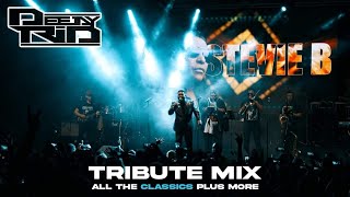Download lagu Stevie B - The King of Freestyle Mix 2023 mp3 Download lagu Stevie B - The King of Freestyle Mix 2023 mp3
