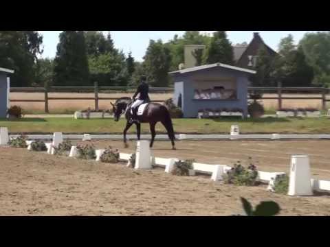 FRANZISKUS & Ingrid Klimke - Westfalenwochen Münster-Handorf 2014