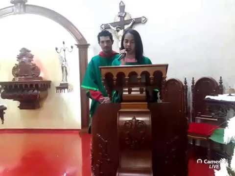 Missa ao vivo | Padre Rogério