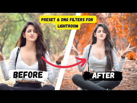 DNG Preset - Filters For LR