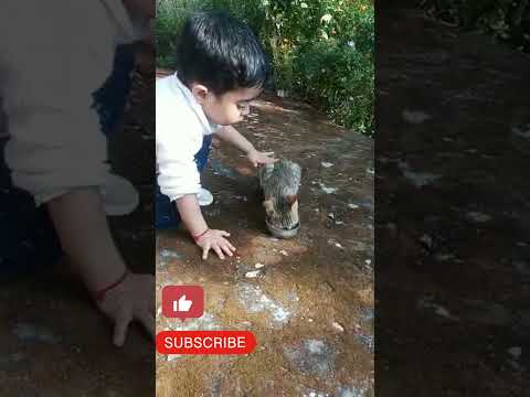 Kid and kat 🐱#viral #trending #shortvideo #short #ytshorts