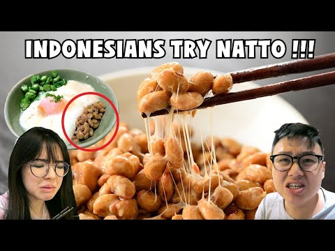 Download Harga Natto Makanan  Jepang Mp3 Mp4 Unlimited 