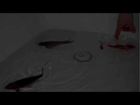 Russian Roulette - Tungevaag (Daycore/Slowed)