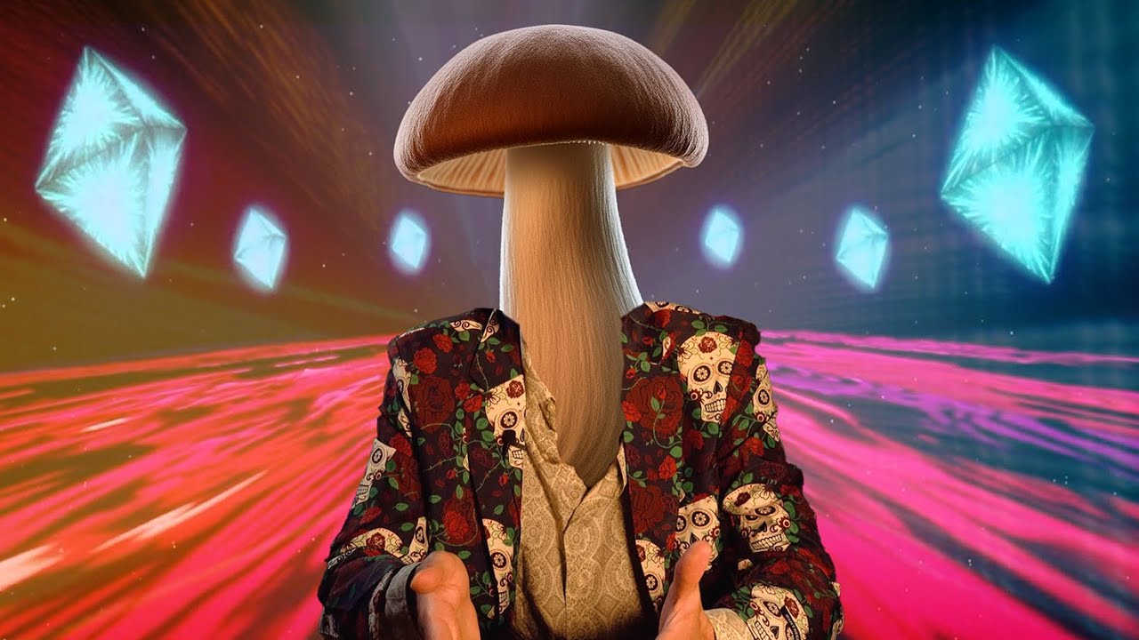 The Psychedelic Apocalypticism of Terence McKenna