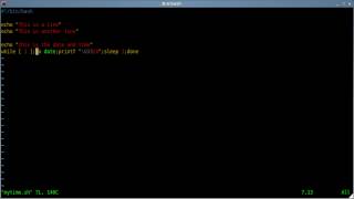 Update Line Without Having to Clear Screen - Linux - Shell Script - BASH