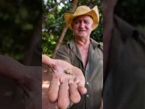 #garimpo #serrapelada #garimpeiro #ouro #curionopolis #para #historias #históriasantigas