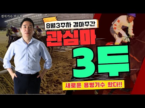 8/16-17-박수홍-[서울경마 Best3] 서울경마 휴장 후 첫 경마주간!! 변화된 날씨에 마필 컨디션 달라졌다!! 배당조심